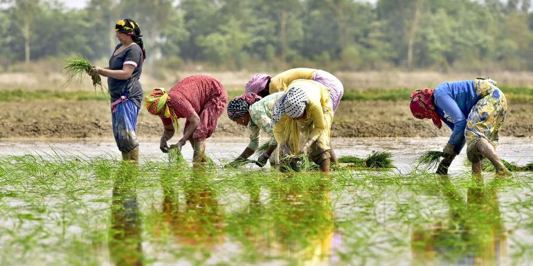 Maharashtra Tenancy and Agricultural Lands Act